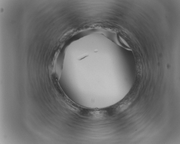 X0000075880558200610151729