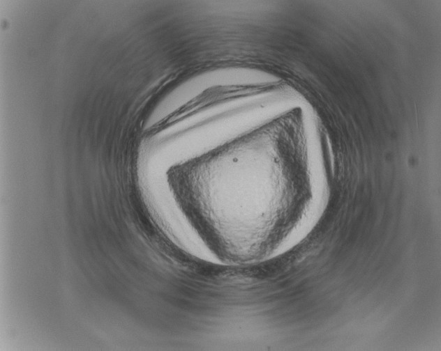 X0000075880648200610151727