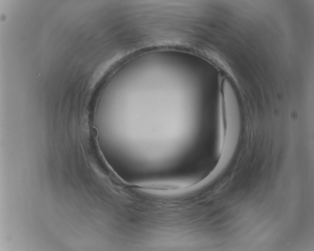 X0000075880676200610151727