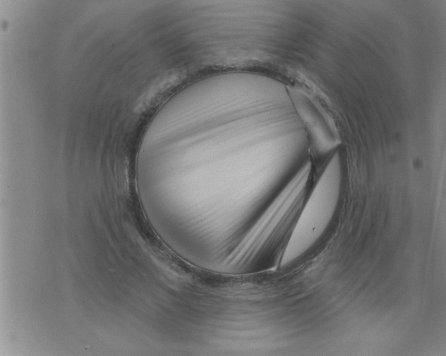 X0000075880685200610151726
