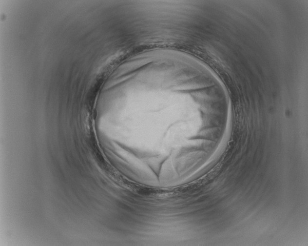 X0000075880692200610151726