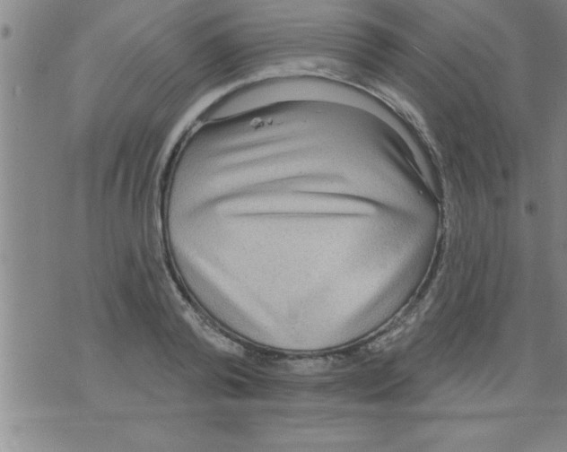 X0000075880792200610151725