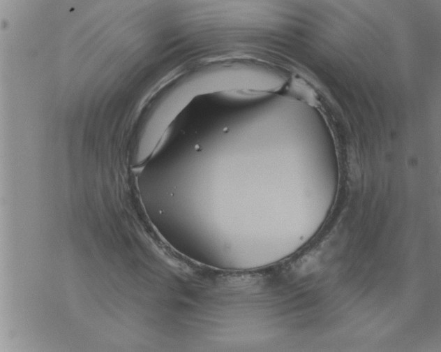 X0000075880826200610151724