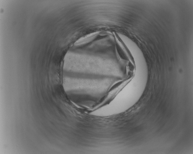 X0000075880916200610151722