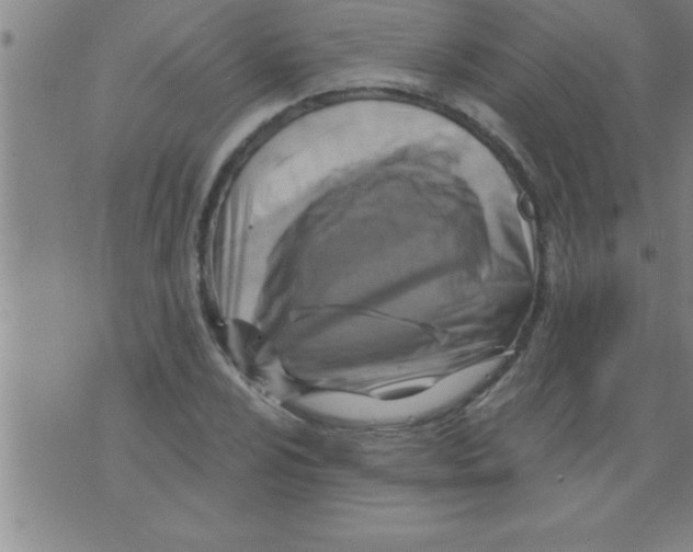 X0000075881024200610151721
