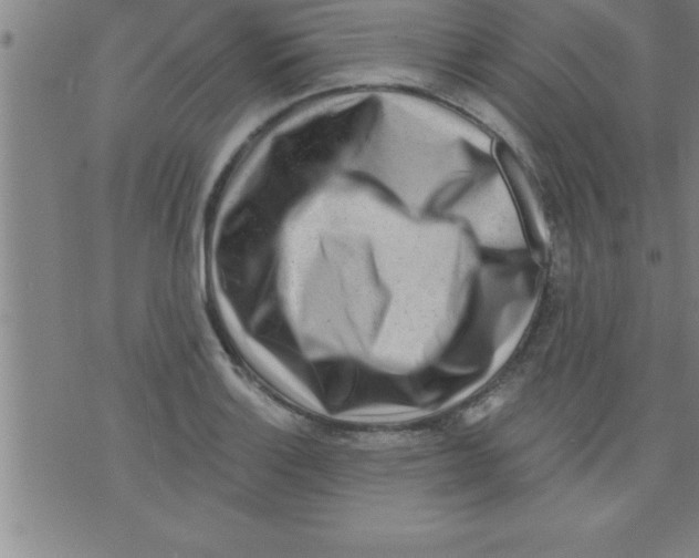 X0000075881132200610151719