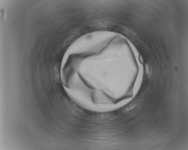 X0000075881203200610151717