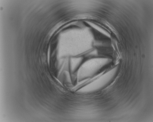 X0000075881465200610151714