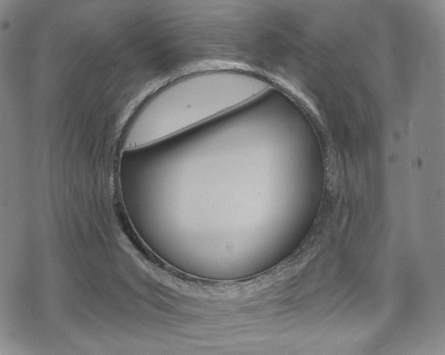 X0000075890015200609151037