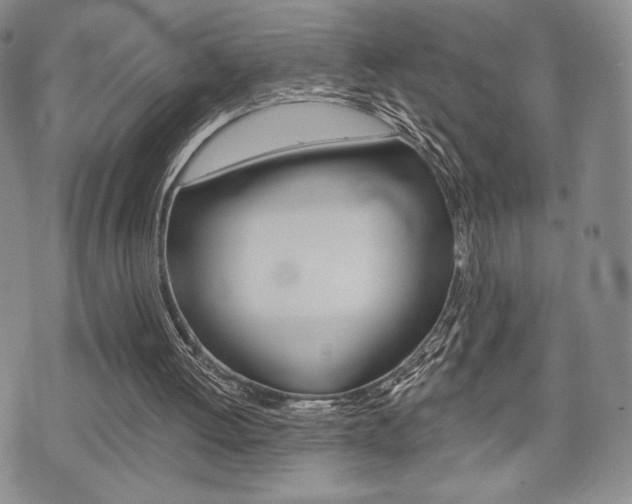 X0000075890052200609151036
