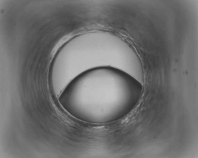 X0000075890054200609151036