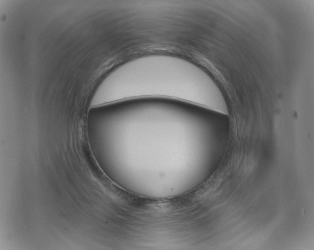 X0000075890071200609151036