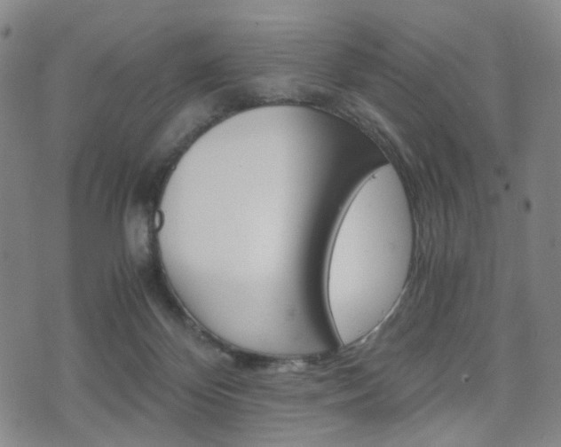 X0000075890124200609151036