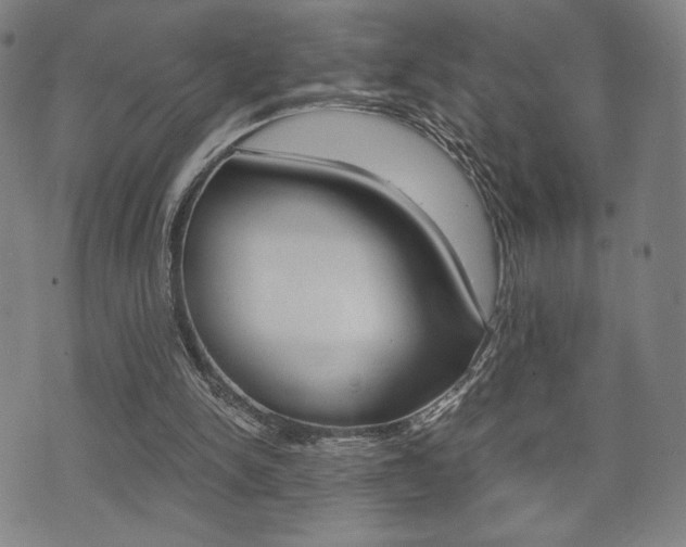 X0000075890150200609151035