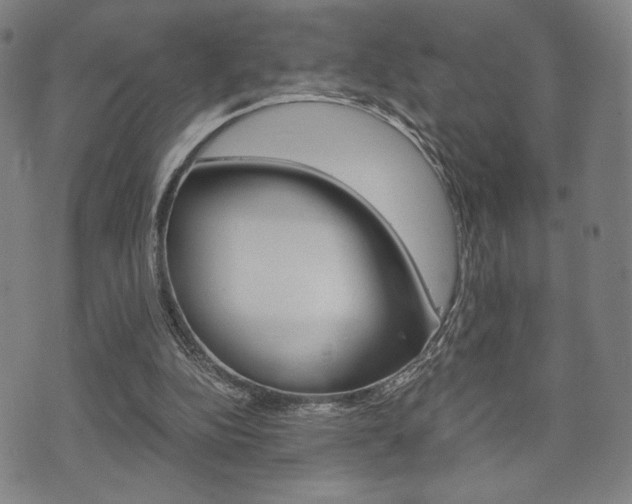X0000075890152200609151035