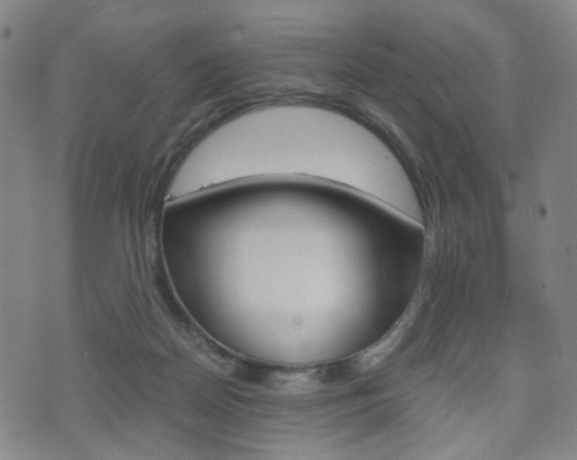 X0000075890170200609151035