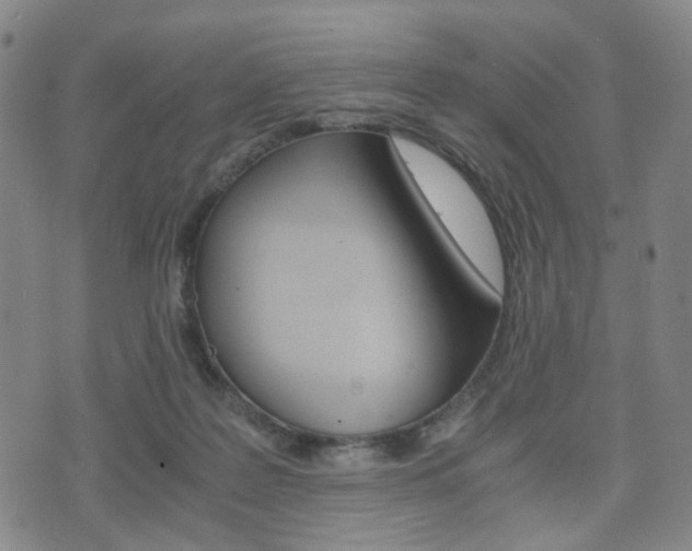 X0000075890219200609151034