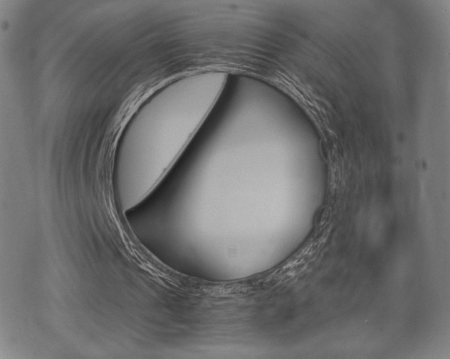 X0000075890241200609151033