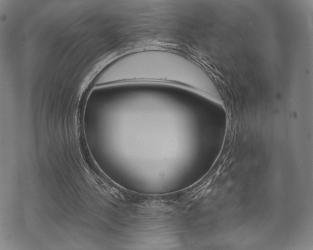 X0000075890244200609151033