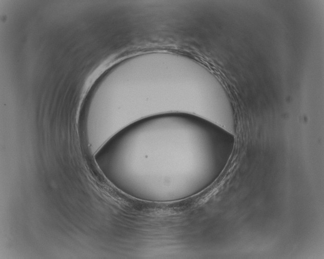 X0000075890246200609151033