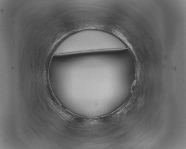 X0000075890249200609151033