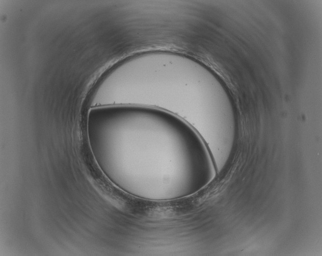 X0000075890252200609151033