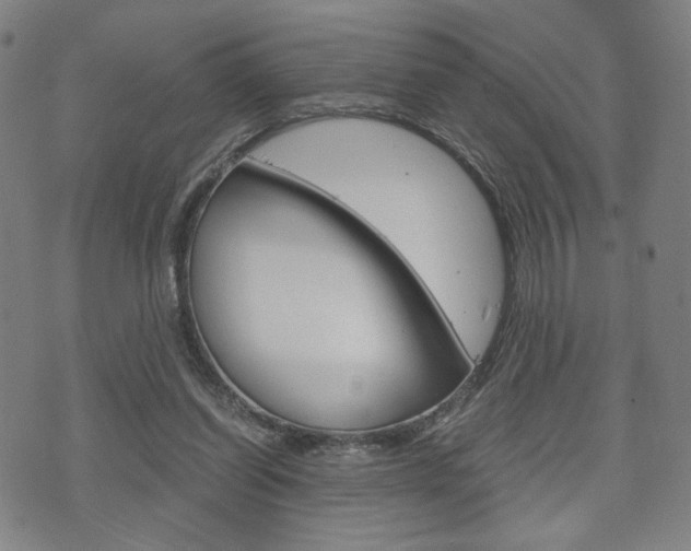X0000075890254200609151033