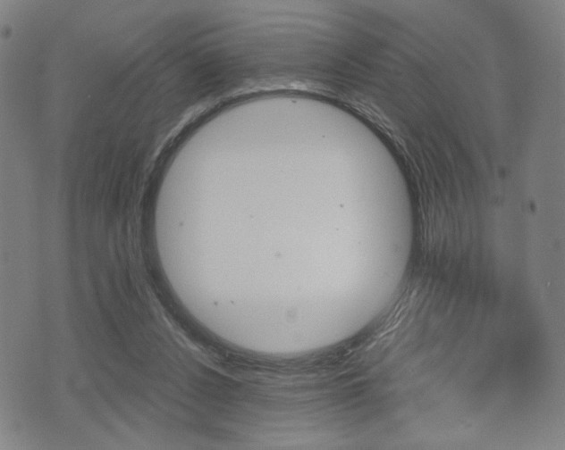 X0000075890256200609151033