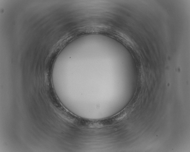 X0000075890258200609151033