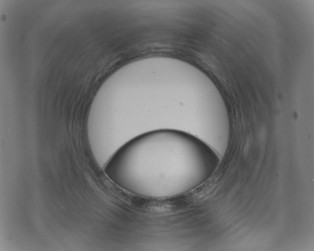 X0000075890263200609151033