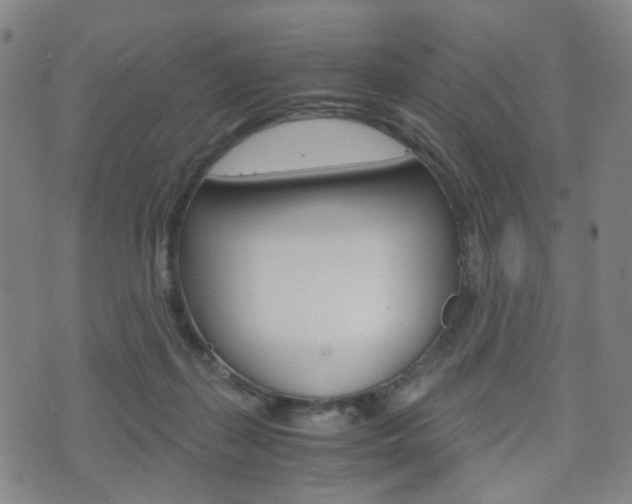 X0000075890267200609151033