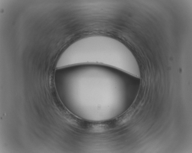 X0000075890268200609151033