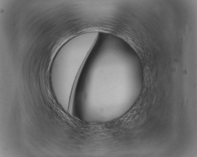 X0000075890289200609151033