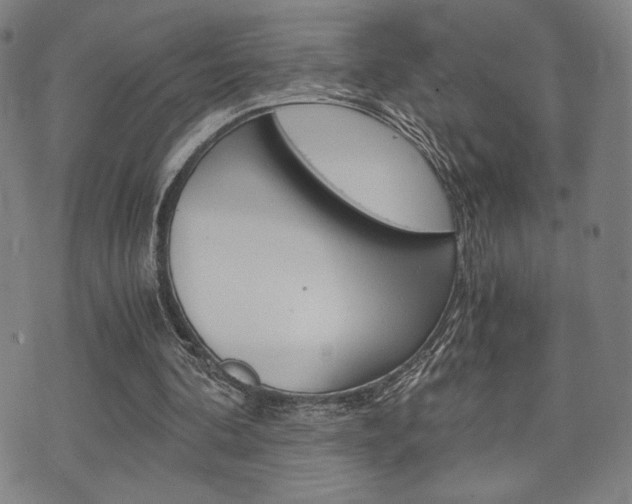 X0000075890292200609151033