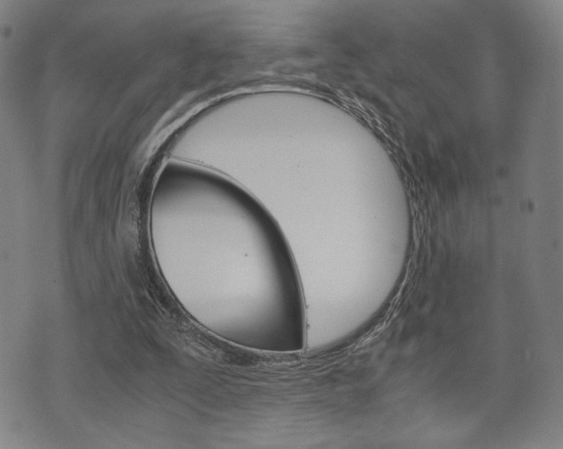 X0000075890295200609151033