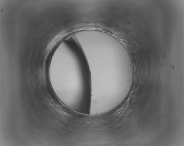 X0000075890296200609151033