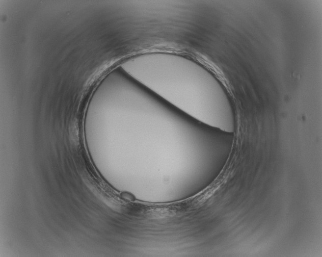 X0000075890298200609151033