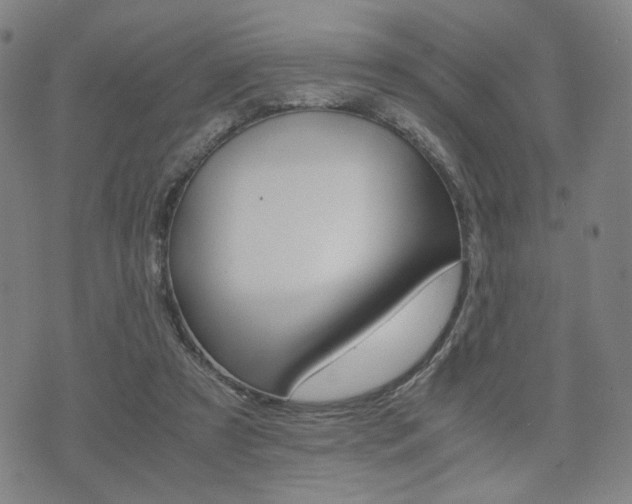 X0000075890305200609151033