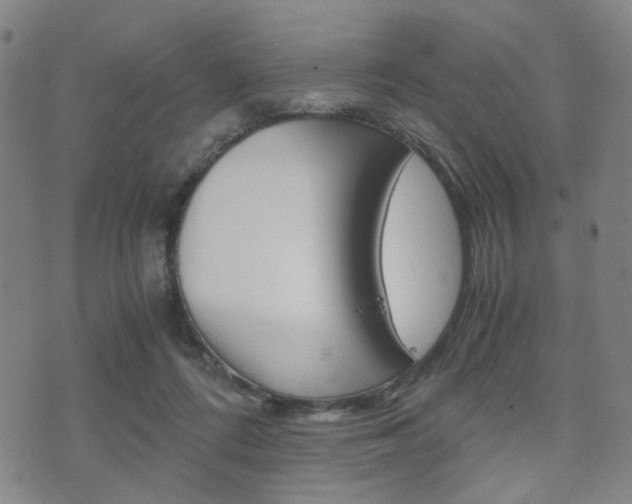 X0000075890312200609151033