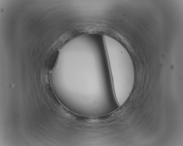 X0000075890313200609151033