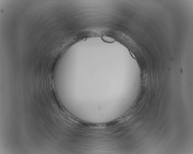X0000075890318200609151033