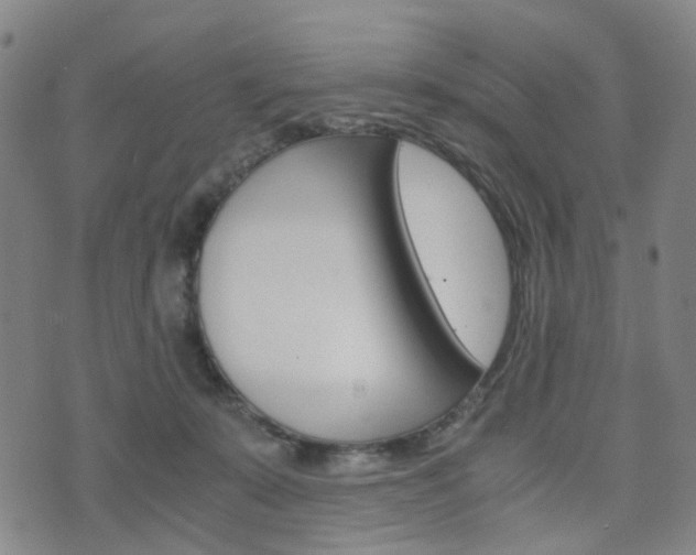 X0000075890319200609151033