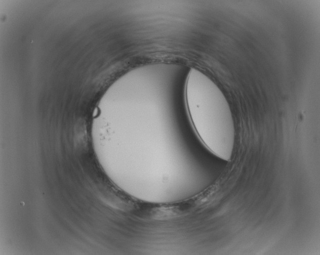 X0000075890320200609151033