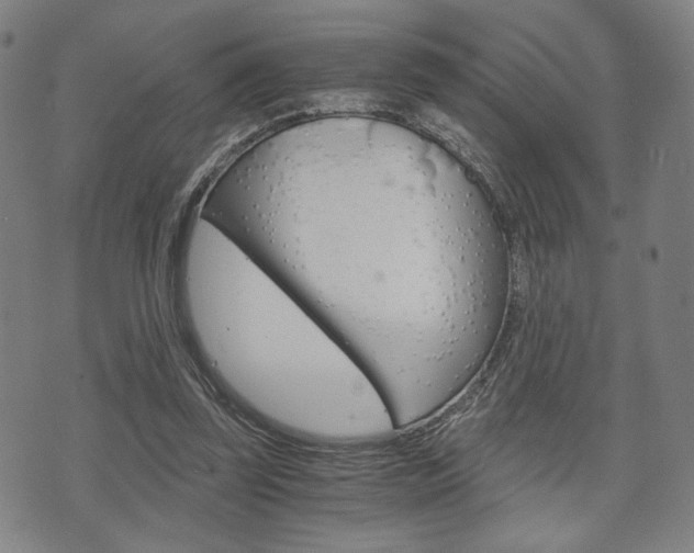X0000075890347200609151032