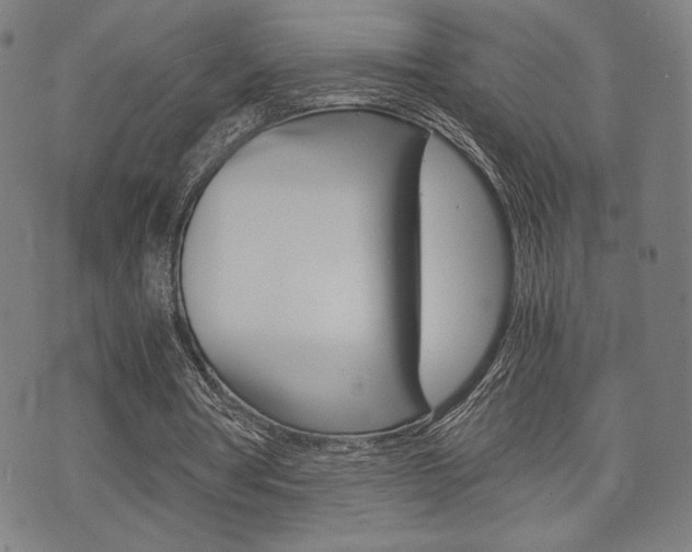 X0000075890386200609151031