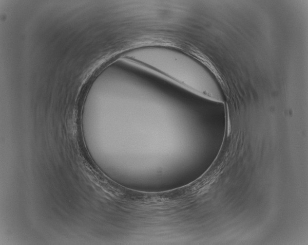 X0000075890387200609151031