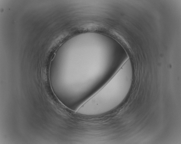 X0000075890403200609151031