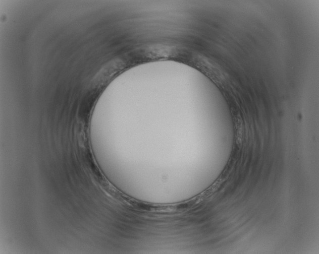 X0000075890414200609151031