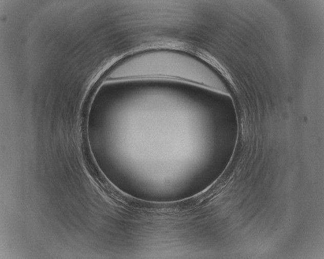 X0000075890436200609151030