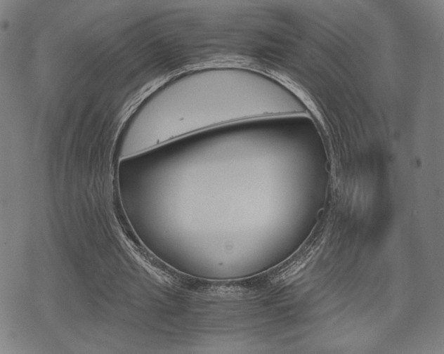X0000075890437200609151030